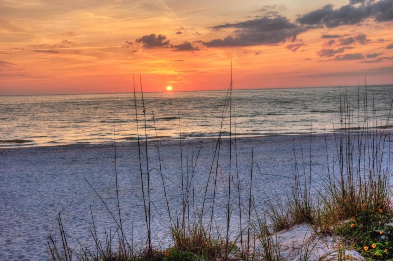 Boutique Beach Retreat St. Pete Beach Eksteriør bilde